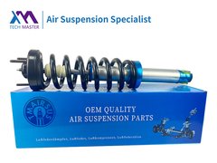 Maître de la technologie Ford F150 Aspirateur de choc à suspension avant