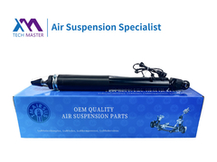 TMAIRSUS LINCOIN MKS MKT arrière avec absorbeur de choc électrique ASH-24428