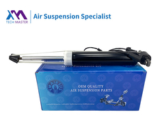 TMAIRSUS Lincoln MKT Amortisseur arrière gauche avec ADS DE9Z18125J, DE9Z18125B, DE9Z18125G