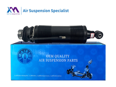 Maître technique TMAIRSUS Absorbeur de choc hydraulique pour Mercedes SL-Classe R230 2303200213