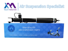 Maître de la technologie TMAIRSUS Amortisseur pour Lincoln MKT ASH24635