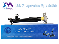 Maître de la technologie TMAIRSUS arrière absorbeur de choc gauche