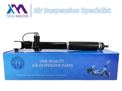 TMAIRSUS absorbeur de choc arrière droit pour Lincoln MKT DE9Z18125A