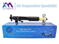 TMAIRSUS absorbeur de choc arrière droit pour Lincoln MKT DE9Z18125A