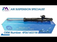 Maître de la technologie TMAIRSUS Absorbeur de choc arrière pour Audi A6 C6 4F0616031M