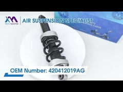 Maître de la technologie TMAIRSUS Absorbeur de choc avant pour Audi R8 gauche avec ADS 420412019AG