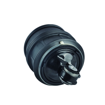 OEM droit 2113200825 de sac de ressort pneumatique d'arrière de Mercedes-Benz W211
