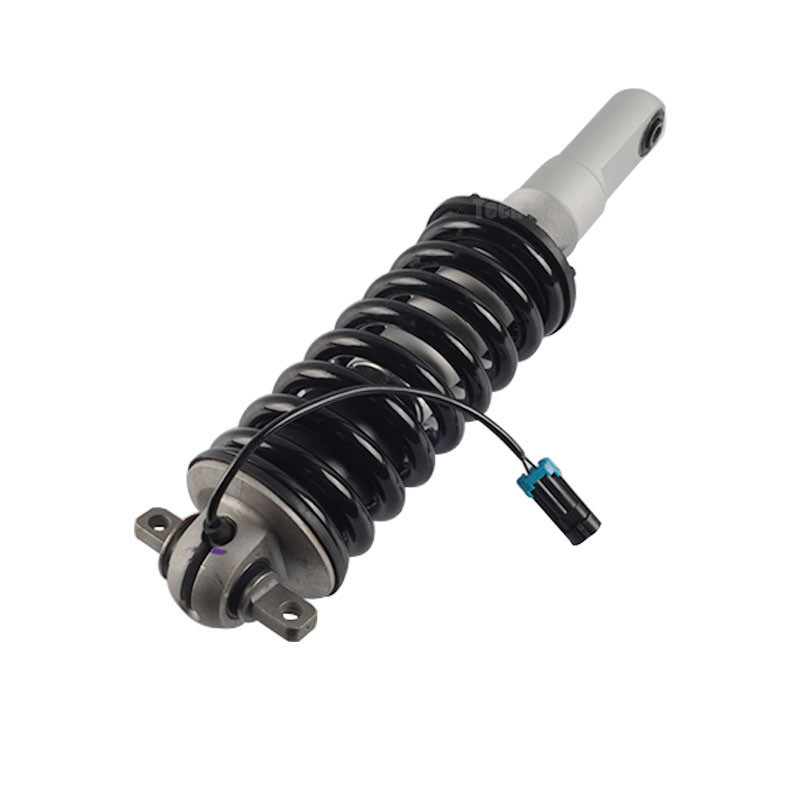 213396 235232 174722 Strut de choc avant Assy magnétique Pour Ferrari F430 F360 2005-2009