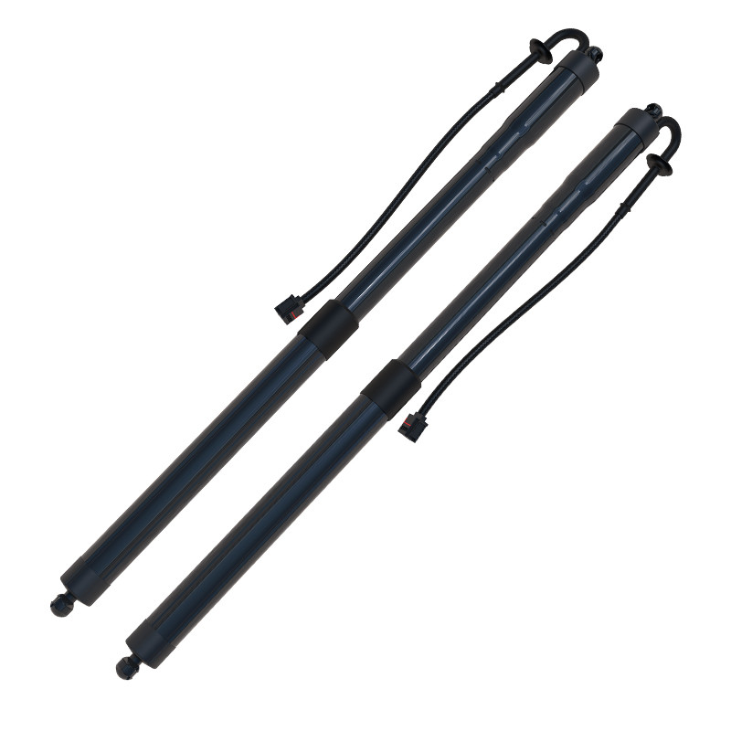 L'éclairage de la porte arrière de la Land Rover EVOQUE LR025444