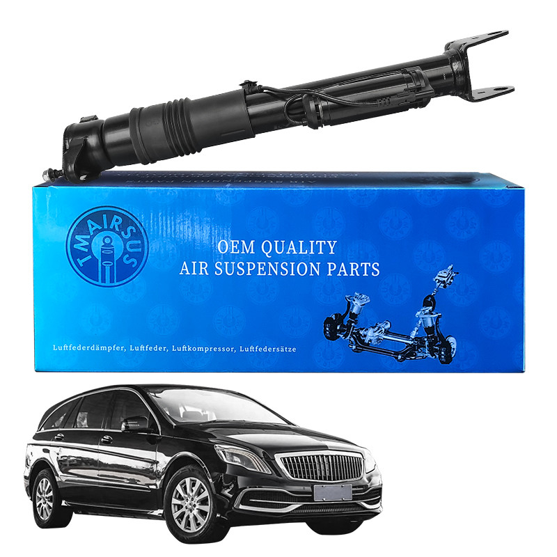 Matériau en caoutchouc d'acier Aspirateur de choc de suspension arrière avec ADS 2513201931 Pour Mercedes-Benz W251/R300