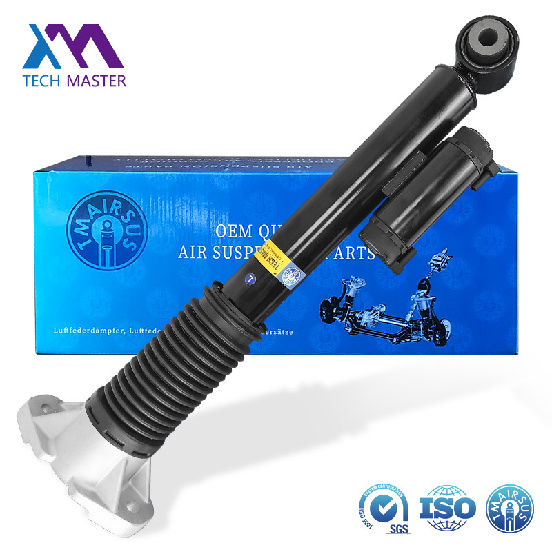 Amortisseur de suspension pneumatique arrière 1673200302 1673200402 pour Mercedes-Benz GLS GLE-Class W167