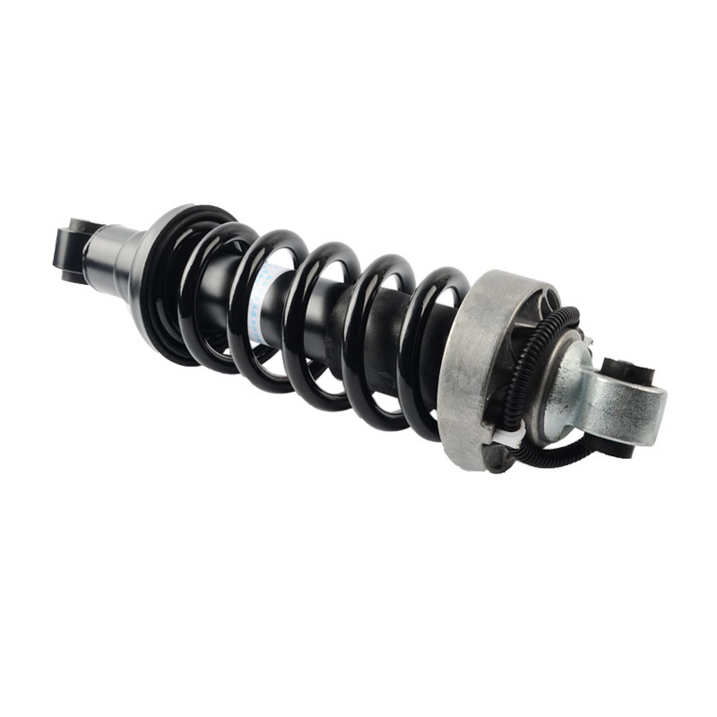 Contrefiche de gauche à droite 420512019AL 420412020AG Airmatic d'amortisseur de suspension d'air de l'arrière ADS d'Audi R8