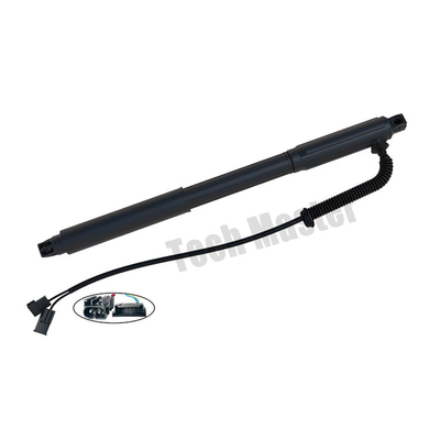 OEM 51247332695 de porte d'ascenseur de BMW X5 E70 Electric Power ascenseur de 51247332696 portes à rabattement arrière