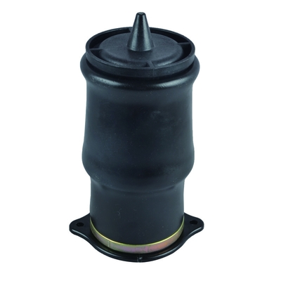 6393280101 6393280201 pièces arrière de suspension de ressort pneumatique pour Mercedes Benz W639 2003-2014