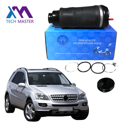1643206013 ressorts de suspension d'air d'Airmatic pour Mercedes Benz ml - classe GL - avant de la classe W164 X164
