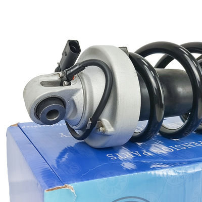 Amortisseurs automobiles Audi R8 420412019AG 420412020AG Amortisseurs avant et arrière-vente