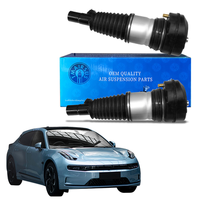 Amortisseur de suspension pneumatique pour Zeekr 001 2017-2023 Suspension pneumatique avant gauche et droite 6600138569 6600138562