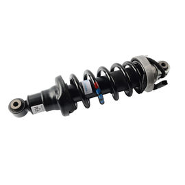Choc de suspension d'air de taille standard pour R8 OEM d'amortisseur de l'arrière L&R (l) 420512019AL (r) 420512020AL