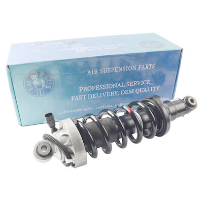 Voiture allemande Audi R8 Front Air Spring Shock Absorber 420412019AG 420412020AG
