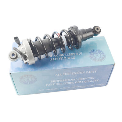 Choc 420512019AL 420512020AL de suspension d'air d'arrière d'Audi R8